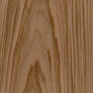 venesta-washrooms-toilet-cubicles-ips-vepps-material-library-wood-veneer-american-black-walnut-crown-cut