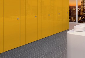 Venesta Washrooms Toilet Cubicles Export Sylan Colour Coat High Gloss3